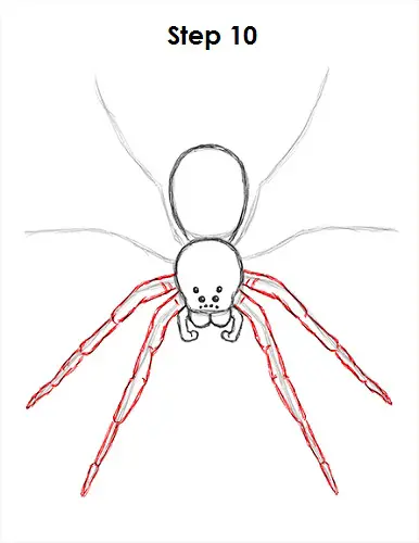 Draw Spider 10