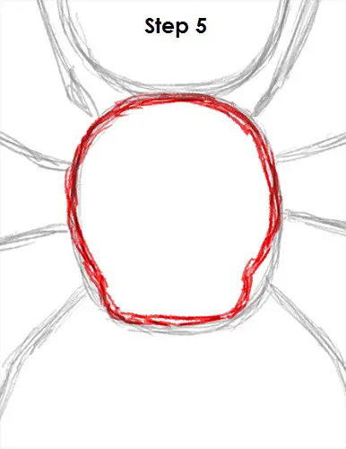 Draw Spider 5