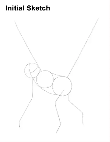 Draw Spider Monkey Sketch