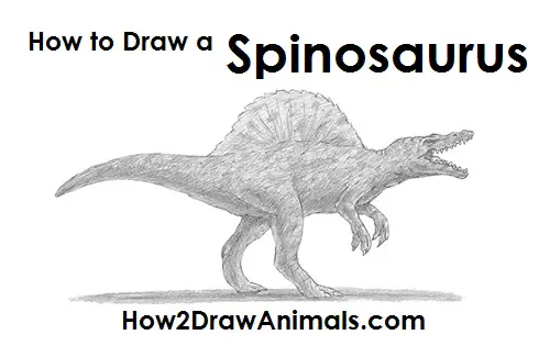 Draw Spinosaurus Dinosaur