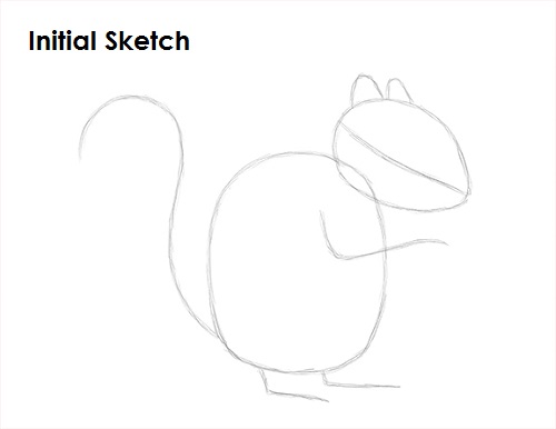 Squirrel Drawing Sketch Draw Squirrel Sketch