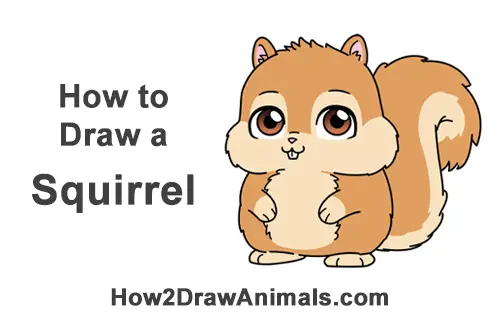 How to Draw Cute Cartoon Squirrel Chibi