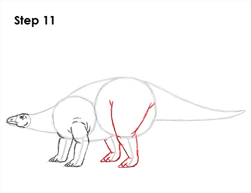 Draw Stegosaurus 11