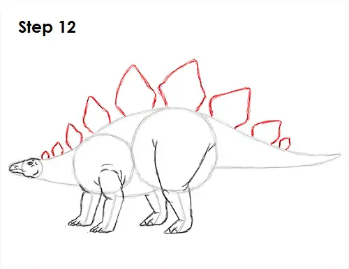 Draw Stegosaurus 12