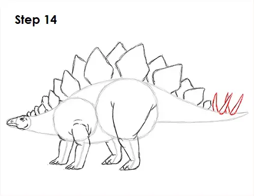 Draw Stegosaurus 14