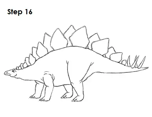 Draw Stegosaurus 16