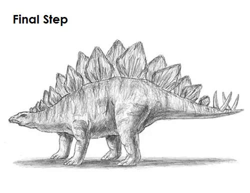 Draw Stegosaurus Last