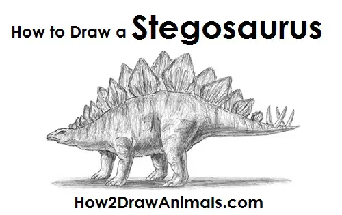 Draw Stegosaurus