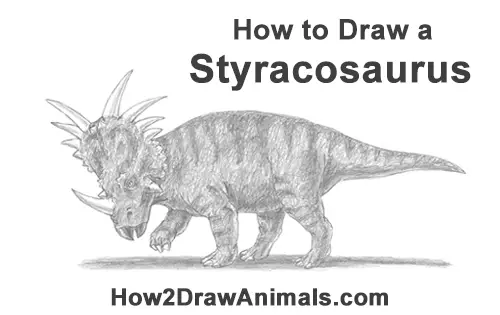 How to Draw Styracosaurus Dinosaur Horns Charging