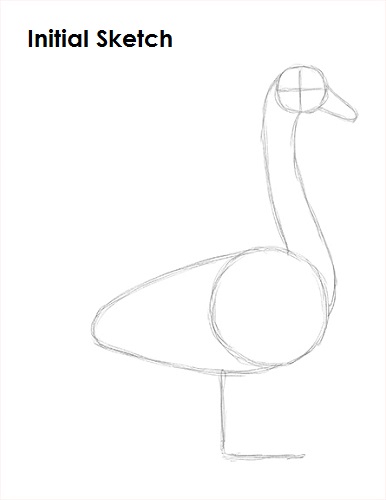 How to Draw a Swan