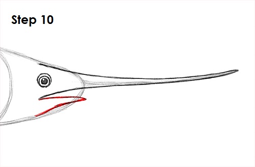 Draw Swordfish 10