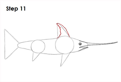 Draw Swordfish 11