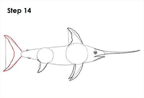 Draw Swordfish 14