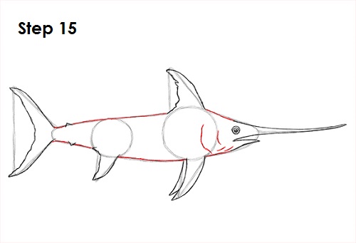 Draw Swordfish 15
