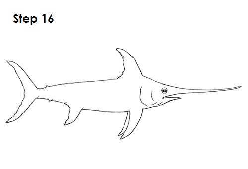 Draw Swordfish 16