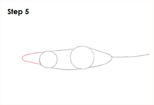Draw Swordfish 5