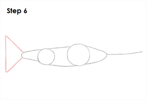 Draw Swordfish 6