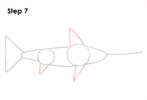 Draw Swordfish 7