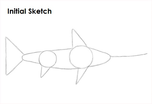 Draw Swordfish Sketch