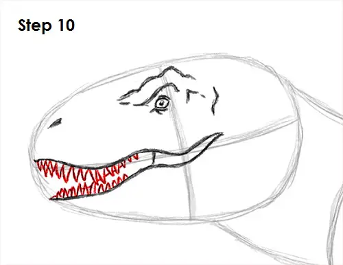 Draw Tyrannosaurus Rex 10