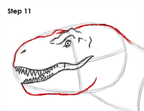 Draw Tyrannosaurus Rex 11