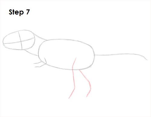 Draw Tyrannosaurus Rex 7