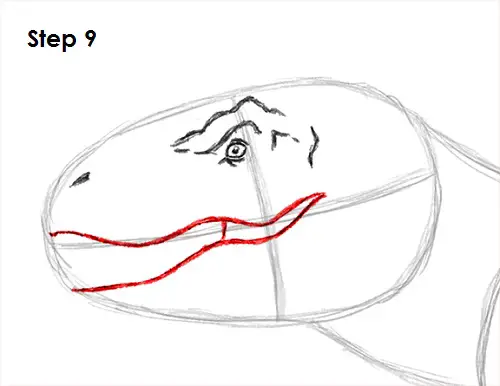 Draw Tyrannosaurus Rex 9