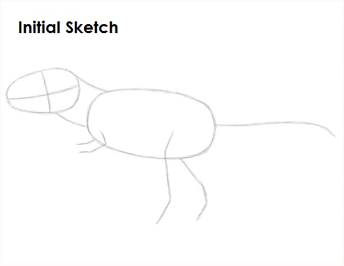 Draw Tyrannosaurus Rex Sketch