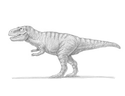 How to Draw a Tyrannosaurus Rex Dinosaur Side View