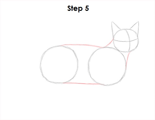 How To Draw A Cat Body Sitting