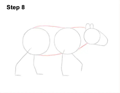 How to Draw a Tapir Malayan Asian Indian Side 8