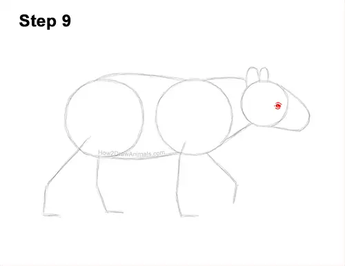 How to Draw a Tapir Malayan Asian Indian Side 9