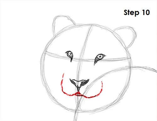 Draw Tiger 10