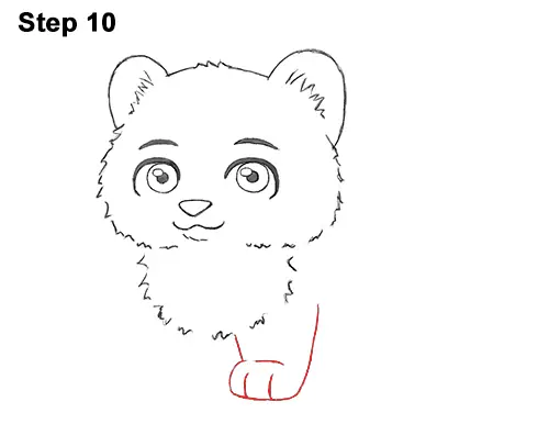Draw Cartoon Mini Little Tiger Cub 10