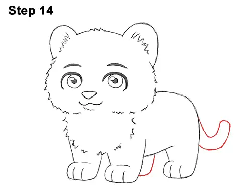 Draw Cartoon Mini Little Tiger Cub 14