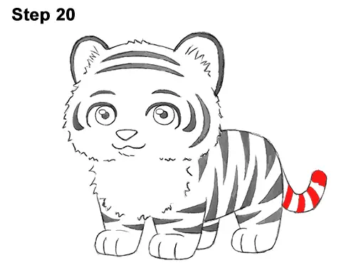 Draw Cartoon Mini Little Tiger Cub 20