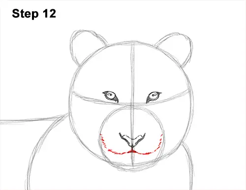 How to Draw a Tiger Laying Lying Down 12