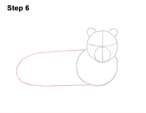 How to Draw a Tiger Laying Lying Down 6