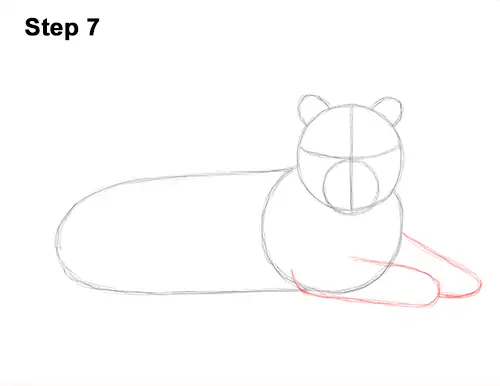 How to Draw a Tiger Laying Lying Down 7