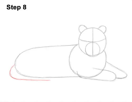 How to Draw a Tiger Laying Lying Down 8
