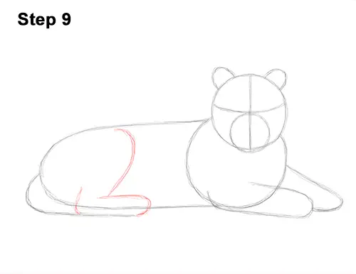 How to Draw a Tiger Laying Lying Down 9