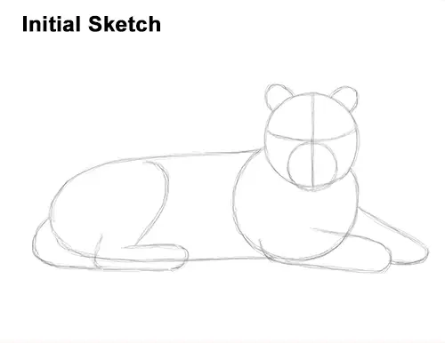 How to Draw a Tiger Laying Lying Down Guide Lines