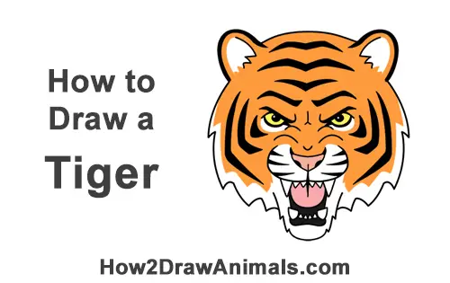 How to Draw a Tiger Head (Cartoon)