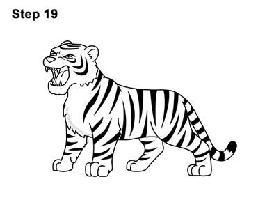 tiger growling drawing