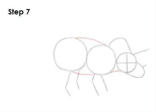 Triceratops Drawing 7 Draw Triceratops 7