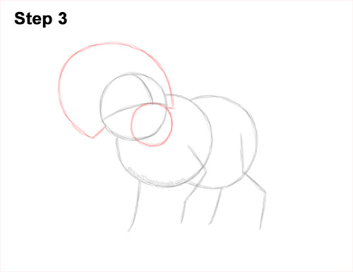 How to Draw a Triceratops 3