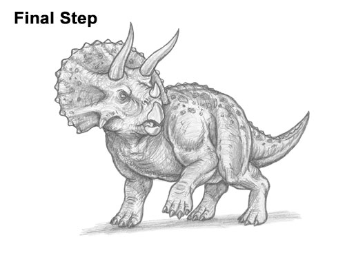 How to Draw a Triceratops Last