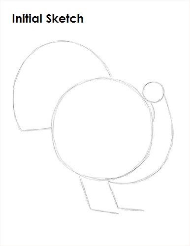 How to Draw a Turkey Sketch Draw a Turkey Sketch
