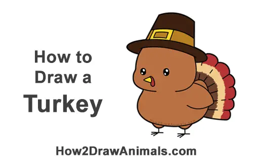 How to Draw a Turkey (Cartoon) for Thanksgiving VIDEO & Step-by-Step ...