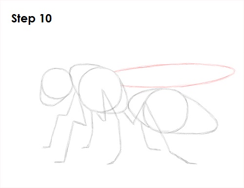 Draw Wasp 10